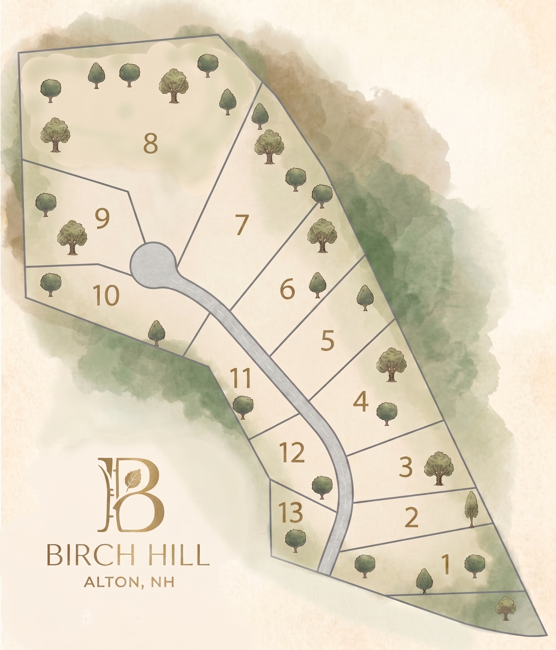 Birch Hill Site Plan — Lot 7