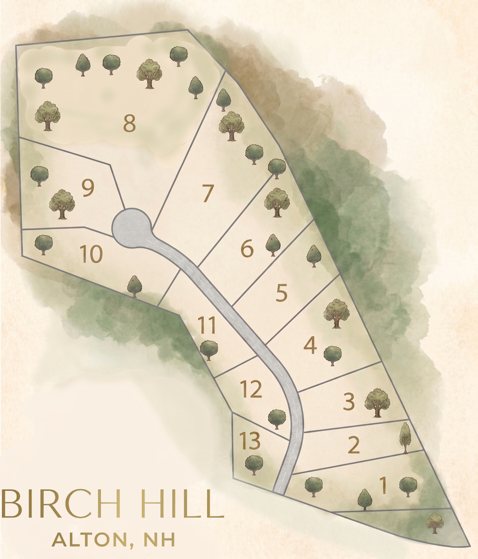 Birch Hill Site Plan