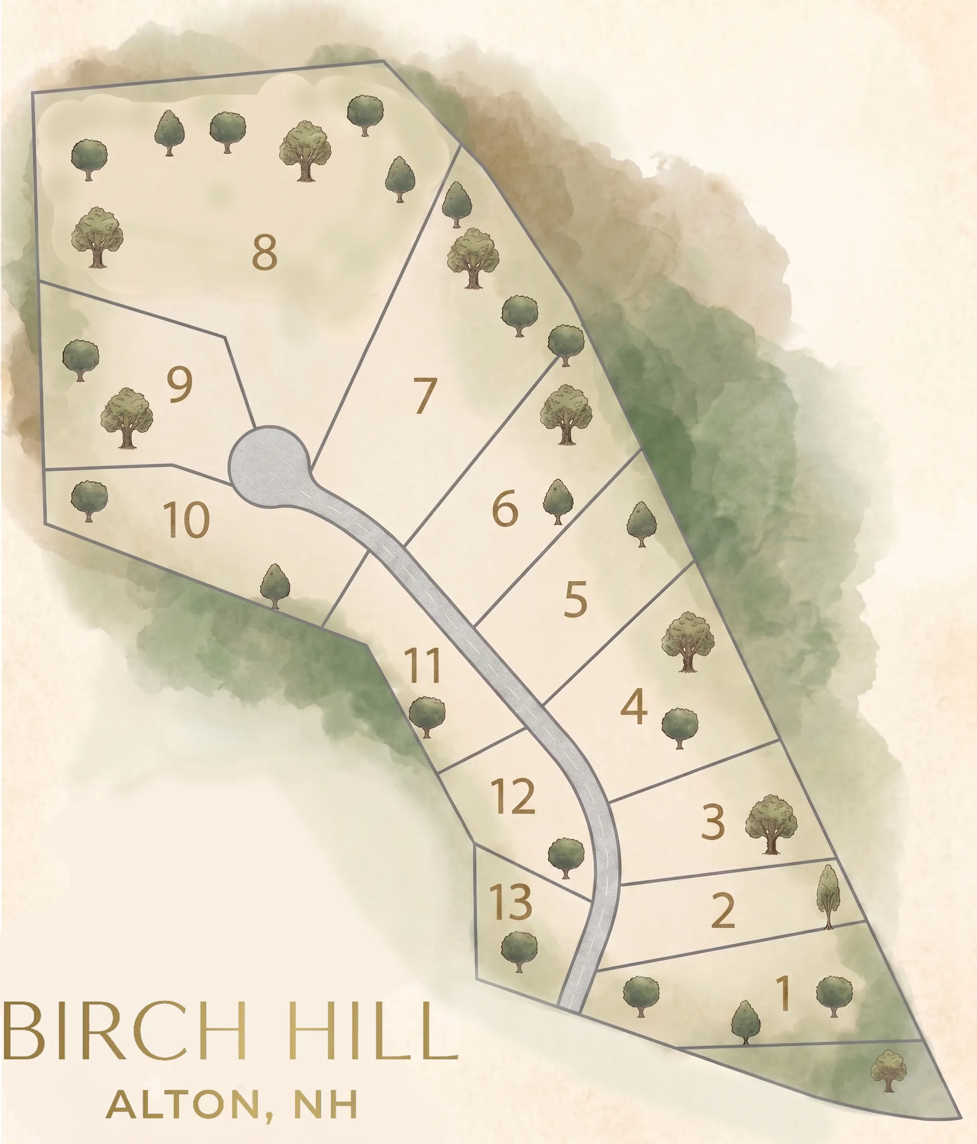 Birch Hill Site Plan